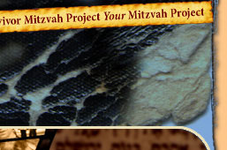 Your donation to the Survivor Mitzvah Project can help an elderly survivor of the Holocaust
